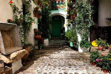 Ruta por los patios de Córdoba - Patios de San Basilio - Patios de Córdoba abiertos todo el año - Mayo Festivo - Patios con flores -
