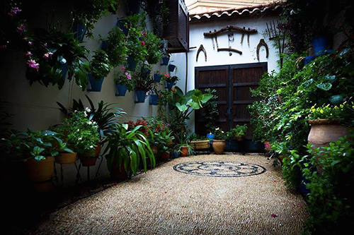 Ruta por los patios de Córdoba - Patios de San Basilio - Patios de Córdoba abiertos todo el año - Mayo Festivo - Patios con flores -