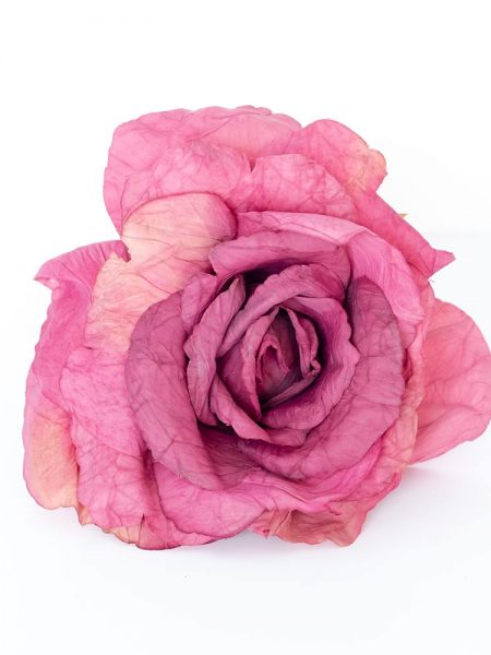 Flores de Flamenca - Flor de flamenca Rosa - Rosa de Tela - Moda Flamenca 2019 - Flores de Flamenca 2019 - Complementos de Flamencas 2019 - Flores de flamencas artesanales - Ramilletes y flores de tela