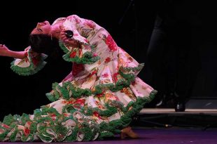 Actuación de la bailaora Águeda Saavedra, en la fase clasificatoria del XXII Concurso Nacional de Arte Flamenco de Córdoba. Foto: IMAE.
