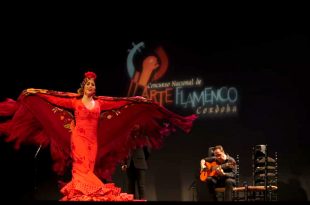 La bailaora Cynthia Cano, en uno de los momentos de su actuación en la fase preliminar del Concurso Nacional de Arte Flamenco de Córdoba 2019. Foto: A. Higuera.