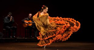 Gala de entrega de premios de la XXII Concurso Nacional de Arte Flamenco de Córdoba. Foto: M: Valverde.
