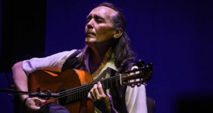 Vicente Amigo, concierto en el XLV aniversario del Festival de la Guitarra de Córdoba. Foto: cordobaflamenca.com